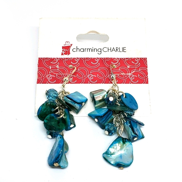 NWT Charming Charlie Earrings NWT - Picture 2 of 3